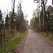 Бумажная просека в городе Москва