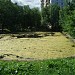 Pond in Moscow city