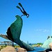 Whale Square in Rio das Ostras city