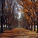 Laleh  Park in Fereydoon Kenar city