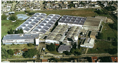 Envases del Plata S.A: