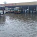 Bus-Stand, Sangrur in Sangrur city