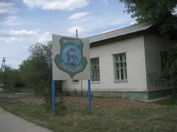 Палласовка