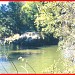 Rio Atibaia