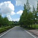  in Daejeon city