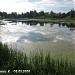 Подрезовский пруд в городе Мытищи