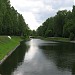 Пятый Путяевский пруд в городе Москва