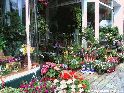 Blumengeschäft Maria Winterfeld Dresden