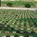 British Military Cemetery in Polykastro city