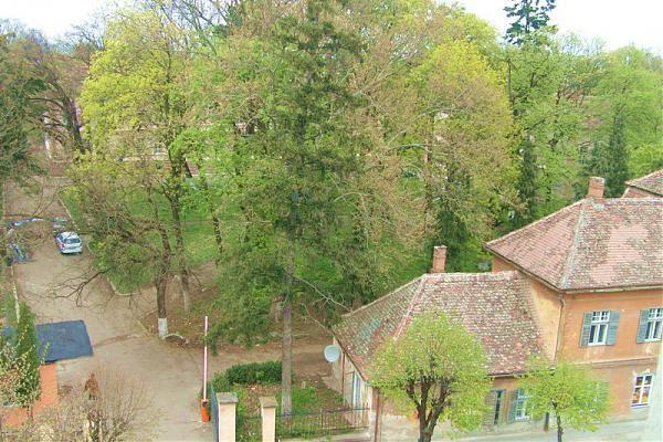 Ulbs Facultatea De Psihologie Institutul De Teologie Protestantă Sibiu Sibiu