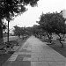 Avenida Arequipa (en) en la ciudad de Lima