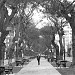 Avenida Arequipa (en) en la ciudad de Lima
