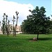 The Tree of Peace in Moscow city