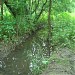 Долина реки Черепишки в городе Москва
