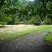 Friedhof Psychiatrie Rheinische Kliniken  (de) in Düsseldorf city