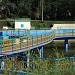 Мостик в городе Киев