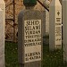 Şehid_Selami_YURDAN'ın_Kabri (tr) in Travnik city