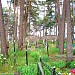 Catholic cemetery