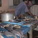 Fresh fish are available here. in Raghunathganj city