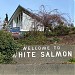 Firemen's Park in White Salmon, Washington city