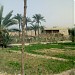 الصوفية في ميدنة الرمادي 