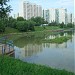 Малый Солнцевский пруд в городе Москва