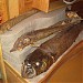 Museum of Permafrost in Igarka city