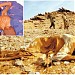 hay el morabitine ( trik el wahda ) Boha (ar) in Taza city