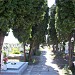 Cemetery in Dudeştii-Vechi city