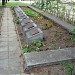 Antrojo pasaulinio karo Sovietų Sąjungos karių palaidojimo vieta Vievyje yra Vievis mieste