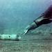U.S. Navy Marine Mammal Program in San Diego, California city
