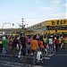 Castanheira na Belém city