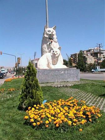 wikimapia