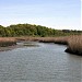 Alley Pond Environmental Center (APEC)