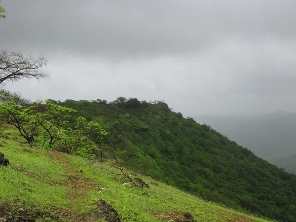 Mandangad Fort