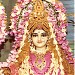 Radha-Krishan Mandir,samaypur in Delhi city