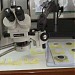 Zahid SOS Lab (ar) in Jeddah city