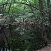 Kesselbruchweiher (de) in Frankfurt am Main city