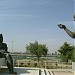 تمثال شهرزاد في ميدنة بغداد 