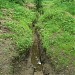 Устье 1-го Безымянного левого притока реки Жабенки в городе Москва