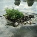 Водослив Большого Садового пруда в городе Москва