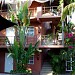 The Bungalows in Cabo San Lucas city