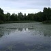 Первый Иваньковский пруд в городе Москва