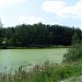 Карьерный пруд в городе Раменское