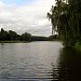 Саввинский пруд в городе Территория бывшего г. Железнодорожный