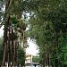 Paseo Méndez (es) in Ciudad Victoria city