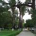 Paseo Méndez (es) in Ciudad Victoria city