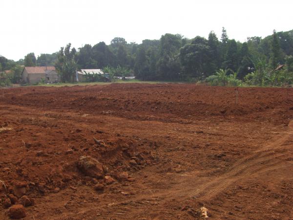 Taman Anyelir 2 - Depok