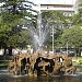 Jardim do Passeio Alegre na Porto city