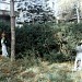 Парк в городе Пластуновская